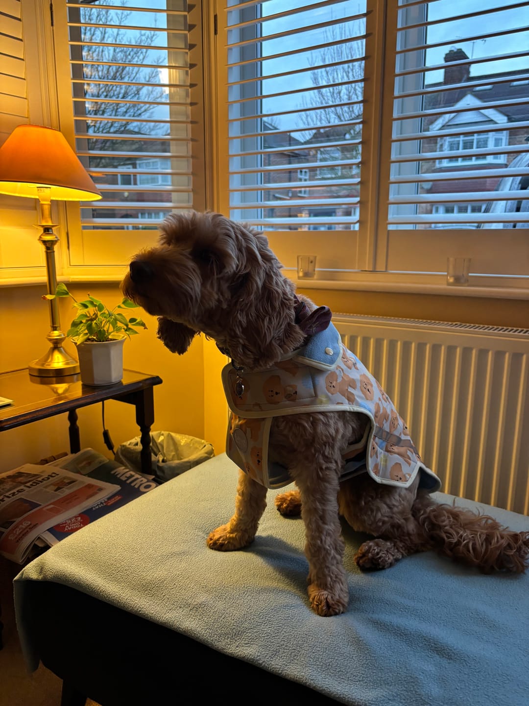 Customer photo review of Rain Jacket - Curly Club