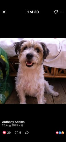 Customer photo review of Pet Portrait