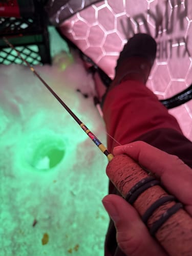 Customer photo review of REEL