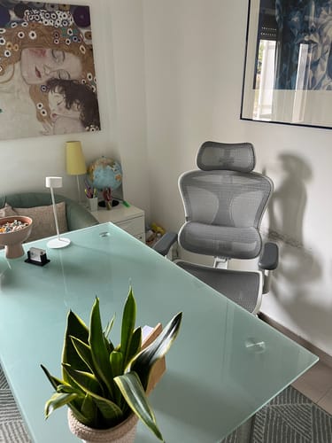 Customer photo review of Sihoo Doro C300 Ergonomic Office Chair