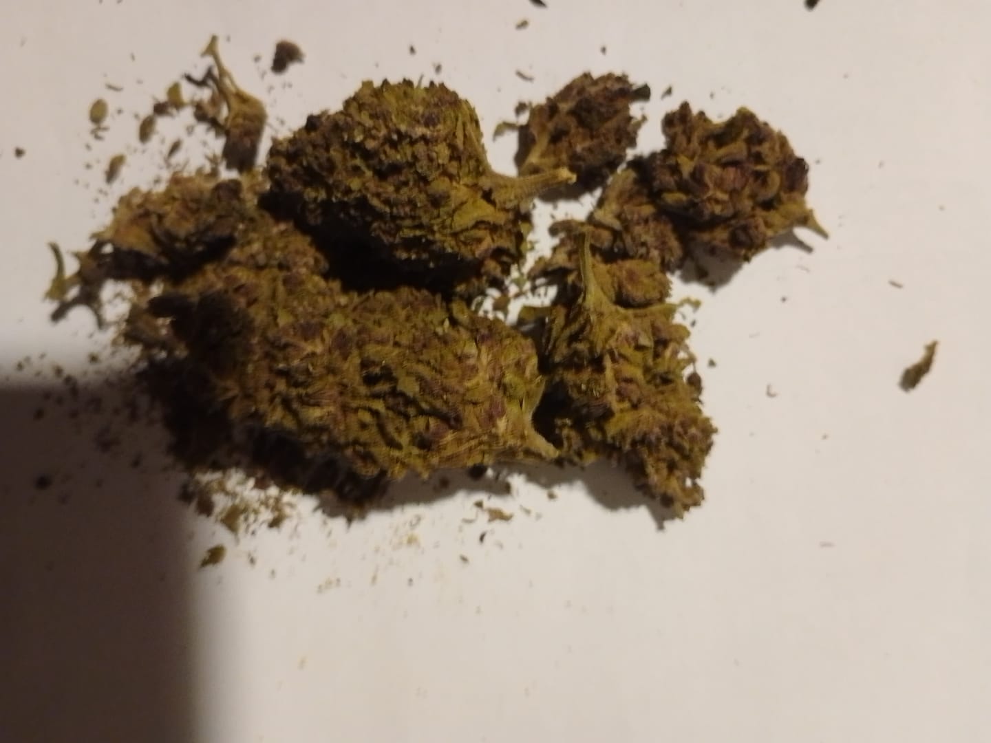 Customer photo review of 🧞Purple Kinky Kush – Power Level 5/5