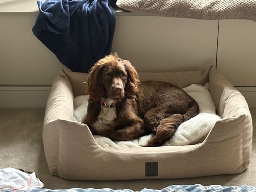 Customer photo review of The Slumber Tray Bed - Sandstone