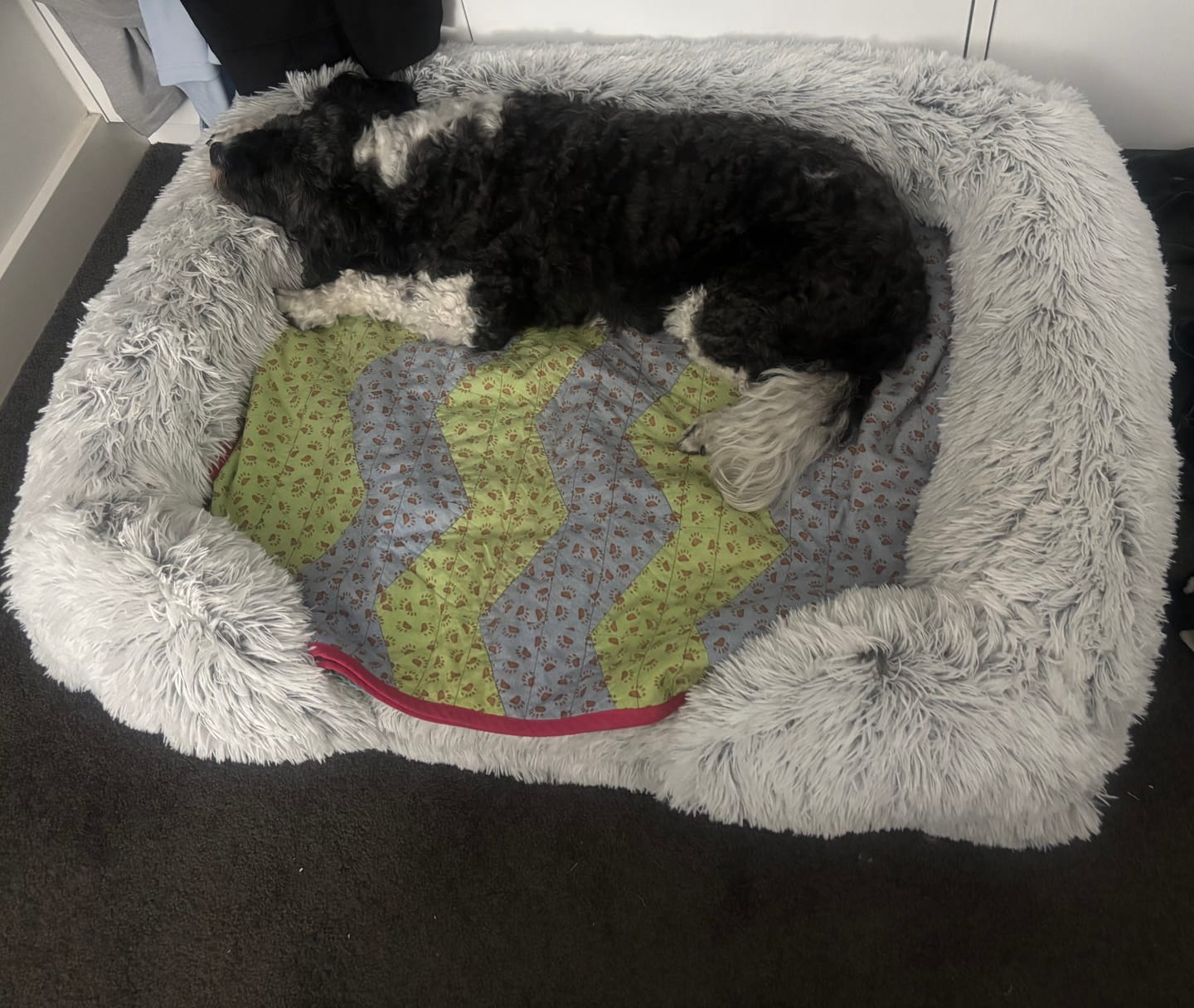 Customer photo review of Pet Orthopaedic Bed