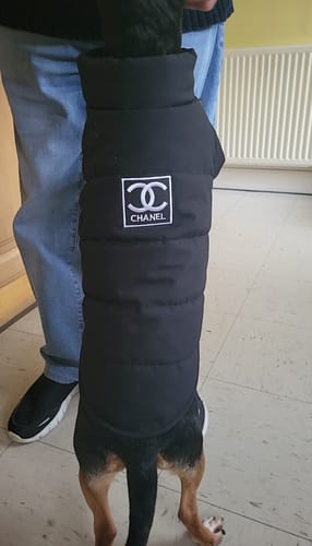 Customer photo review of CC Doggo Classic Warm Fresh Jacket