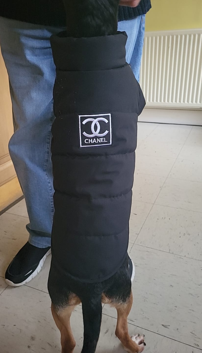 Customer photo review of CC Doggo Classic Warm Fresh Jacket