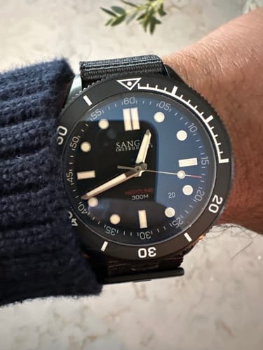 Customer photo review of NEPTUNE (VIP)