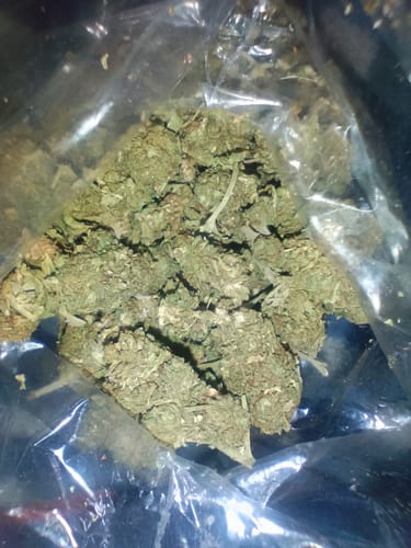 Customer photo review of Raspberry Kush - Bulk- Indica
