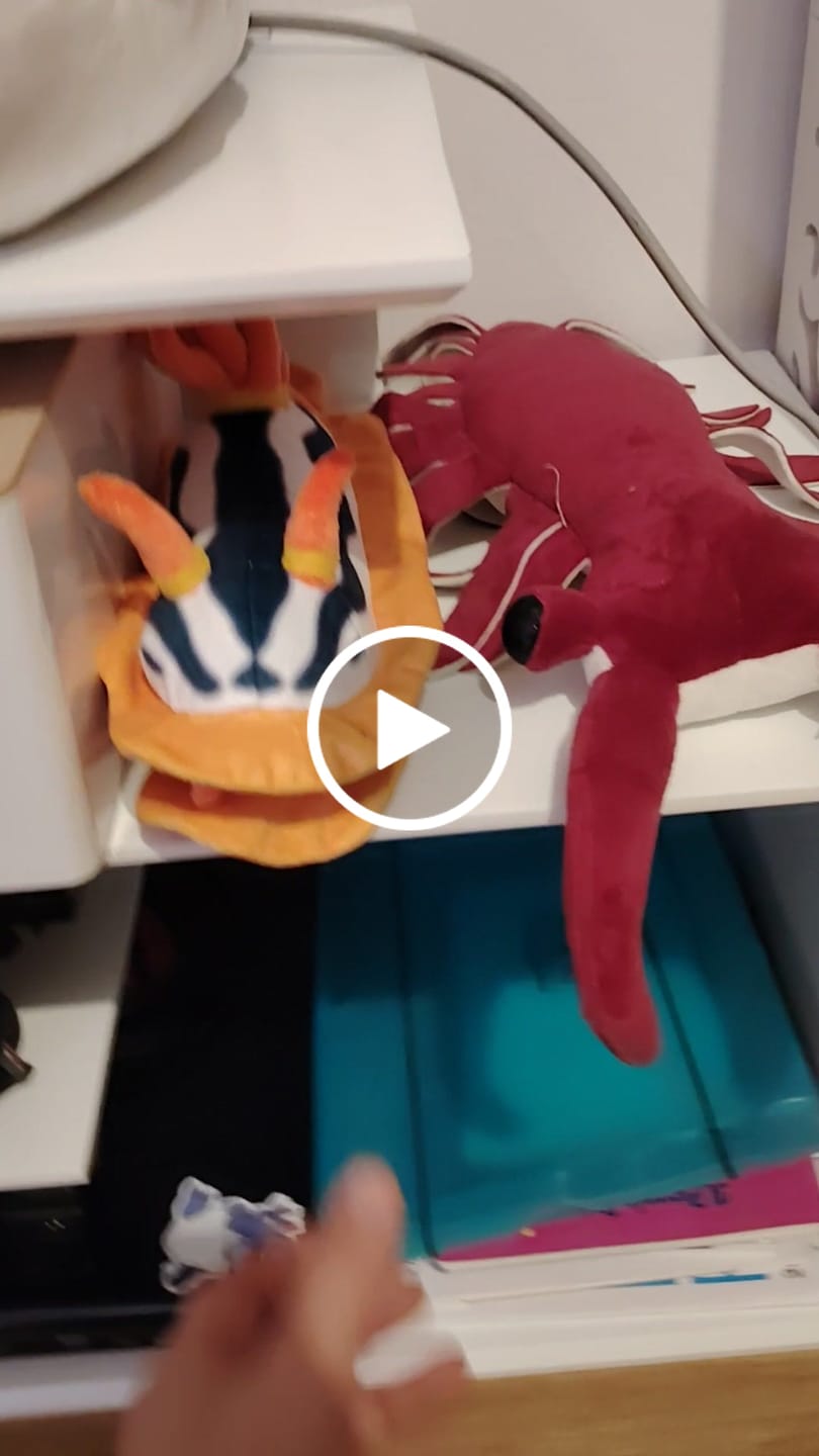 Customer video review of Specimen 2 - Magnificent Sea Slug Plush