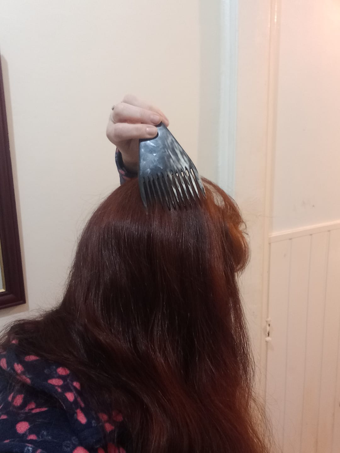 Customer photo review of Triangular Horn Combs