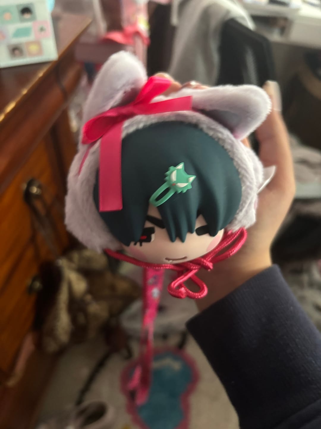 Customer photo review of Alien Stage Freedom Stage Series Earphone Pouch