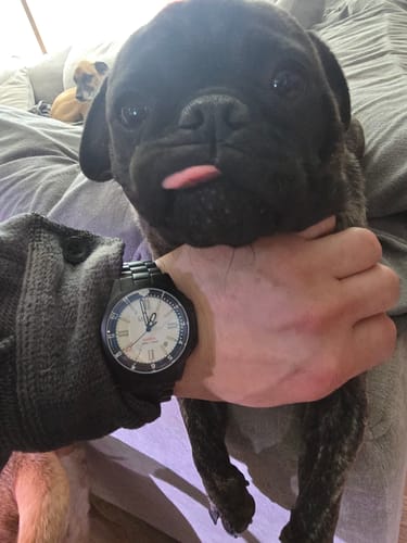 Customer photo review of Hydra II (VIP)