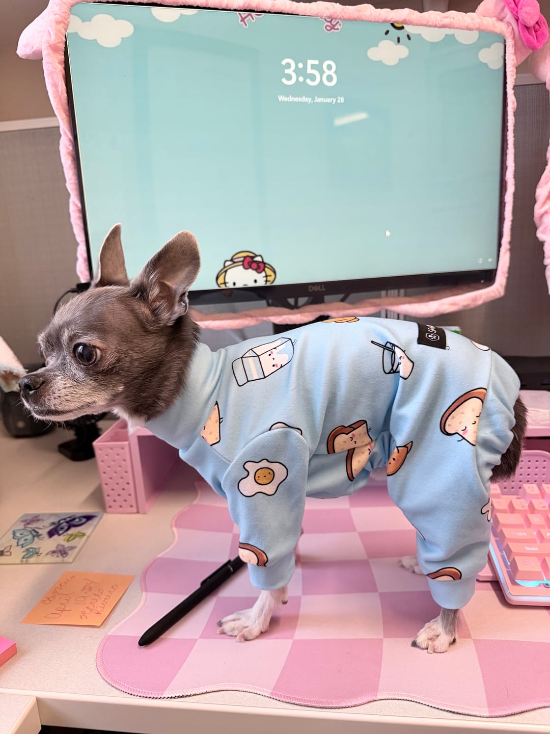 Customer photo review of Dog Pajama - Donuts