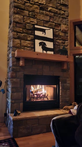 Customer photo review of SAUSAGE DOG CANVAS