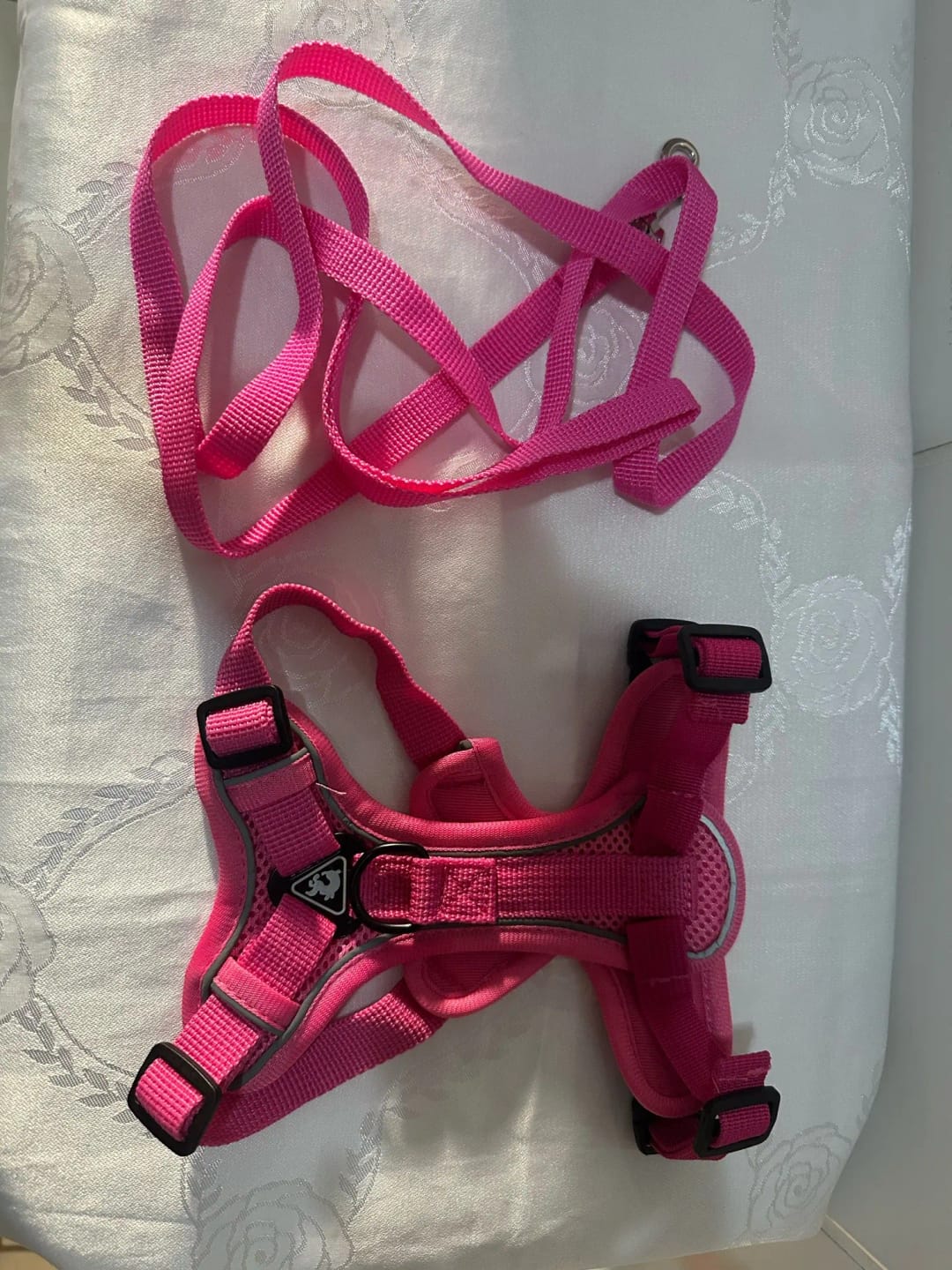 Customer photo review of Harness and Leash Set for Small Dog and Cat