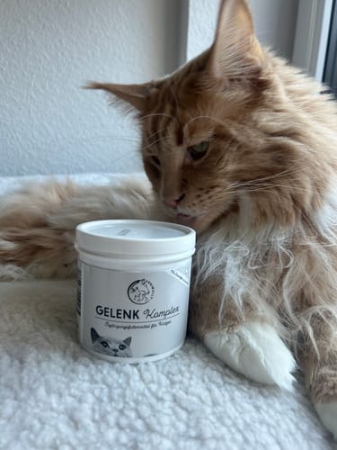 Customer photo review of Gelenk Komplex