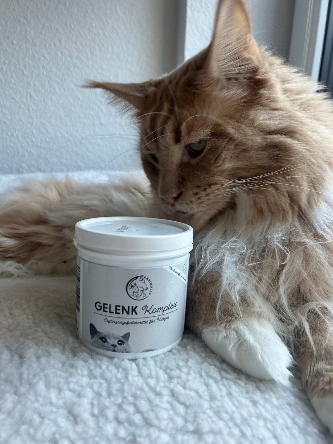 Customer photo review of Gelenk Komplex