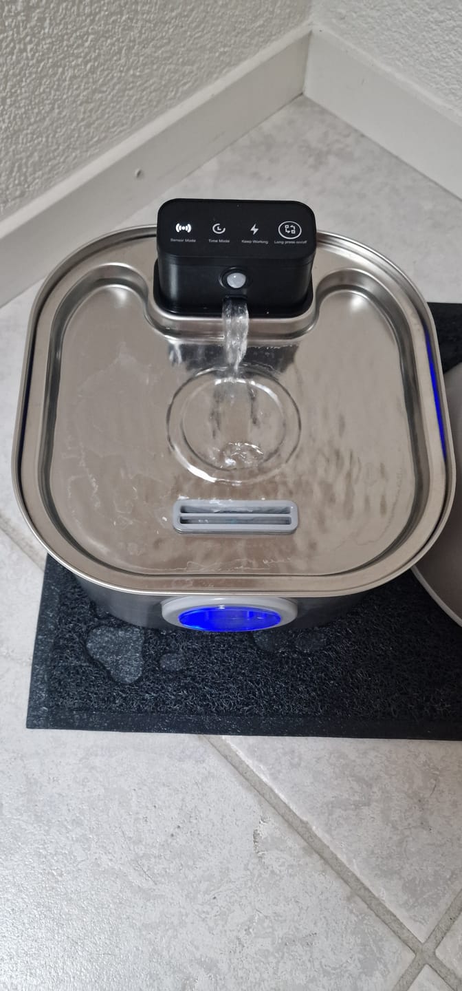 Customer photo review of Filter 12 Monatsvorrat für PfotenBrunnen™