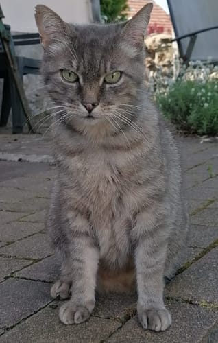 Customer photo review of Patsli® Skin & Hair