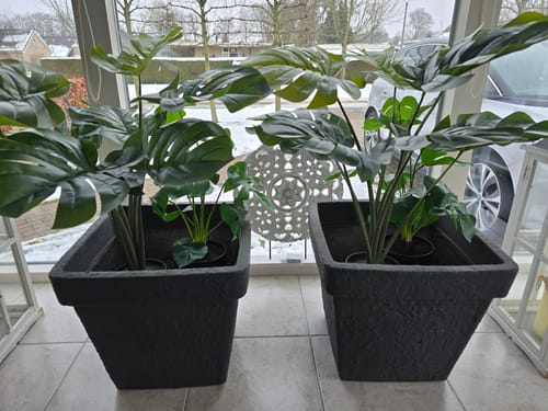 Customer photo review of Monstera Kunstplant 60cm