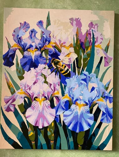 Customer photo review of Custom Landscape Paint By Numbers