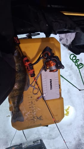 Customer photo review of RECOIL | SHOW