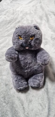 Customer photo review of Grumpy Chonky Cat Plushie