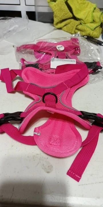 Customer photo review of Harness and Leash Set for Small Dog and Cat
