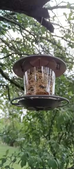 Customer photo review of Gazebo Wild Bird Feeder – Hanging Outdoor Seed Station