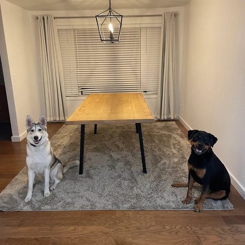 Customer photo review of Kent Rustic Dining Table | Pine Wood Farmhouse Design