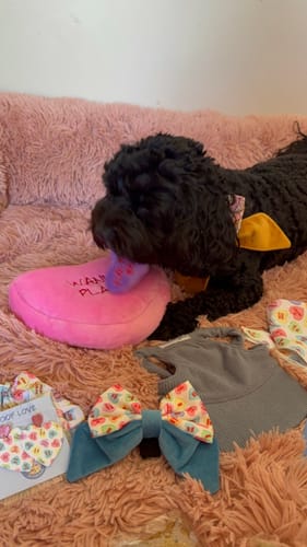 Customer photo review of BURROW TOY - SWEET TALKER