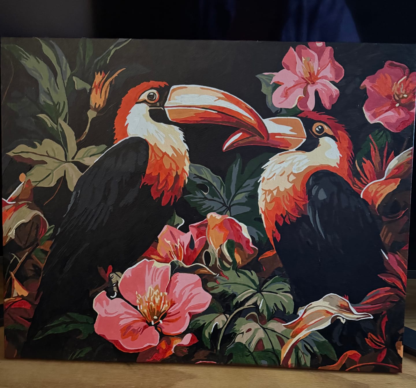 Customer photo review of Toucan Rhythm