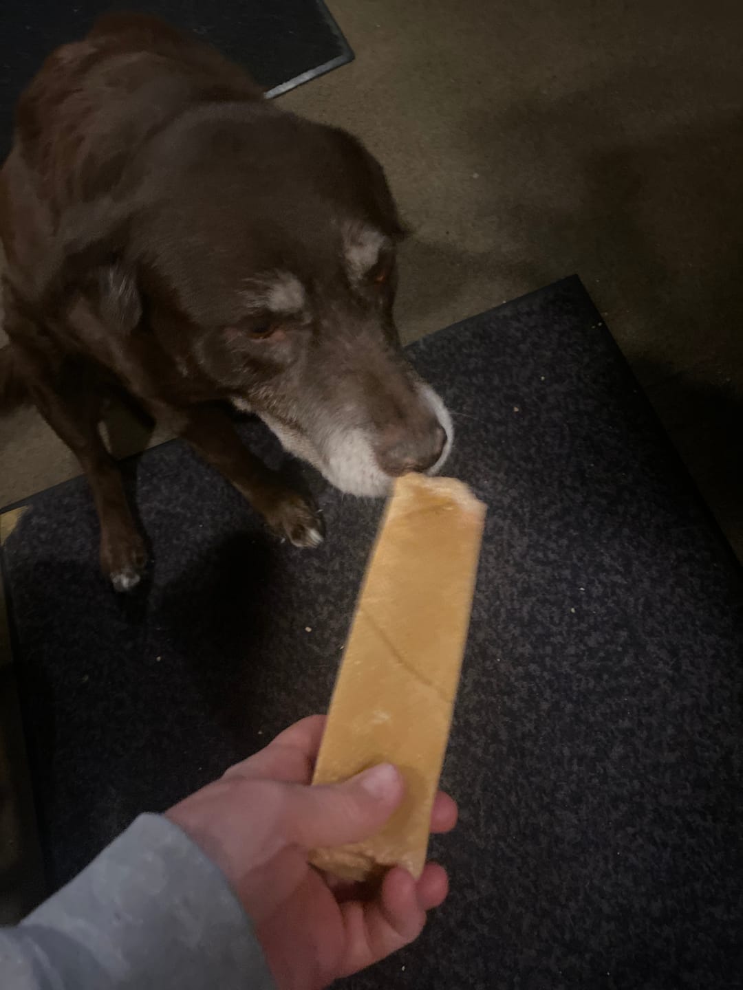 Customer photo review of Himalayan Yak Chew (MEGA)