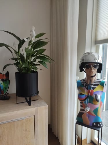 Recensent toont de zwarte Bau Bloempot met een lepelplant erin, die op een houten kast staat.