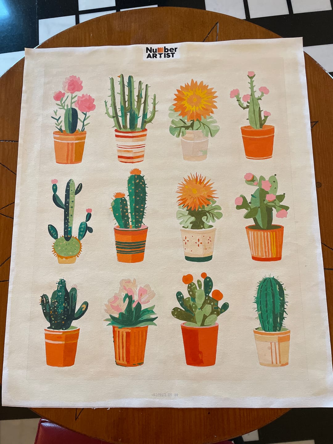 Customer photo review of Cacti Collection