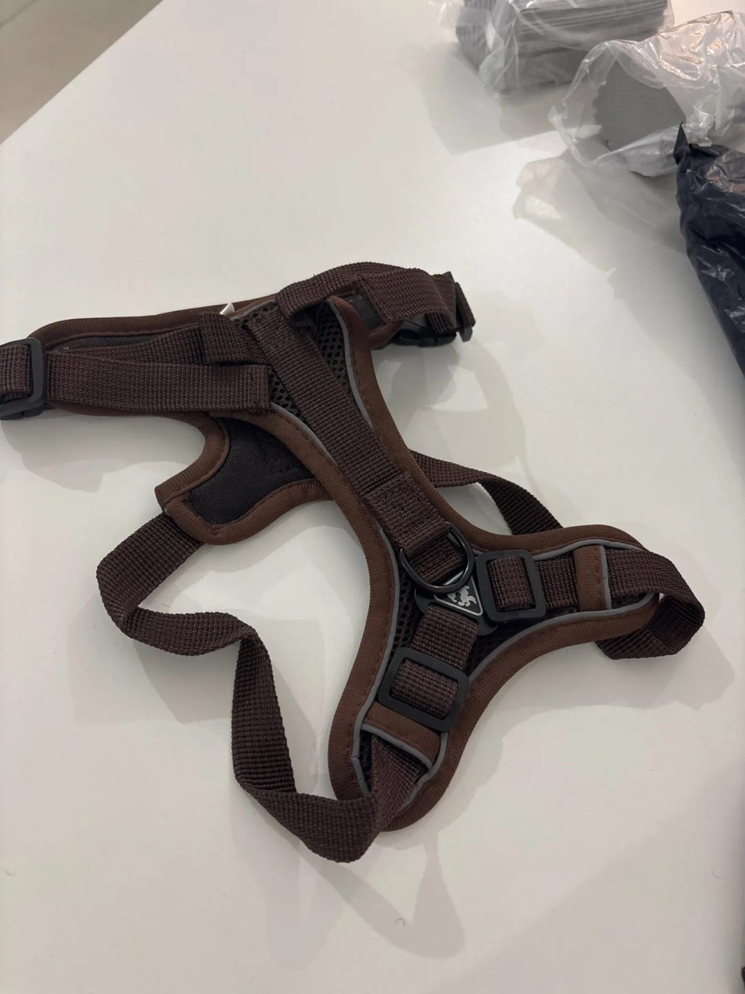 Customer photo review of Harness and Leash Set for Small Dog and Cat