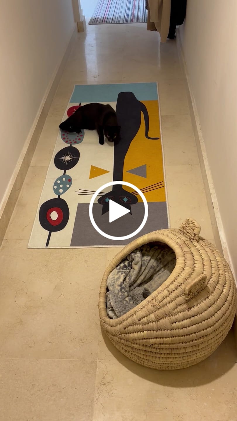 Customer video review of Rylanka- Kitchen Printed Rug