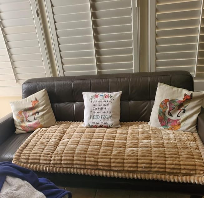 Customer photo review of LuxeLounge™ Couch Cover - Premium Protection Dogs Love