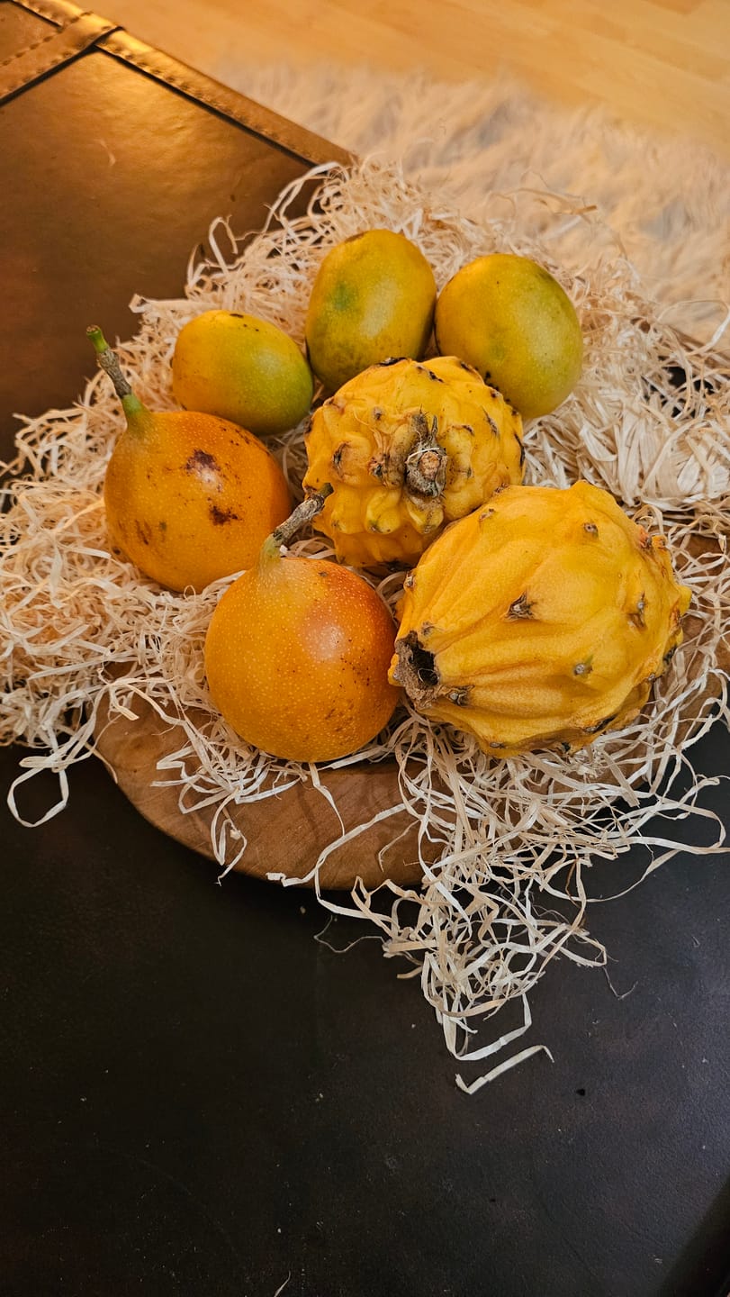 Customer photo review of Drachenfrucht gelb & Granadilla Aktionswoche