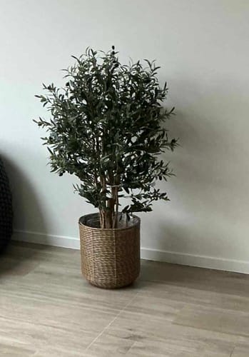 Customer photo review of Kunst Olijfboom 120cm Deluxe
