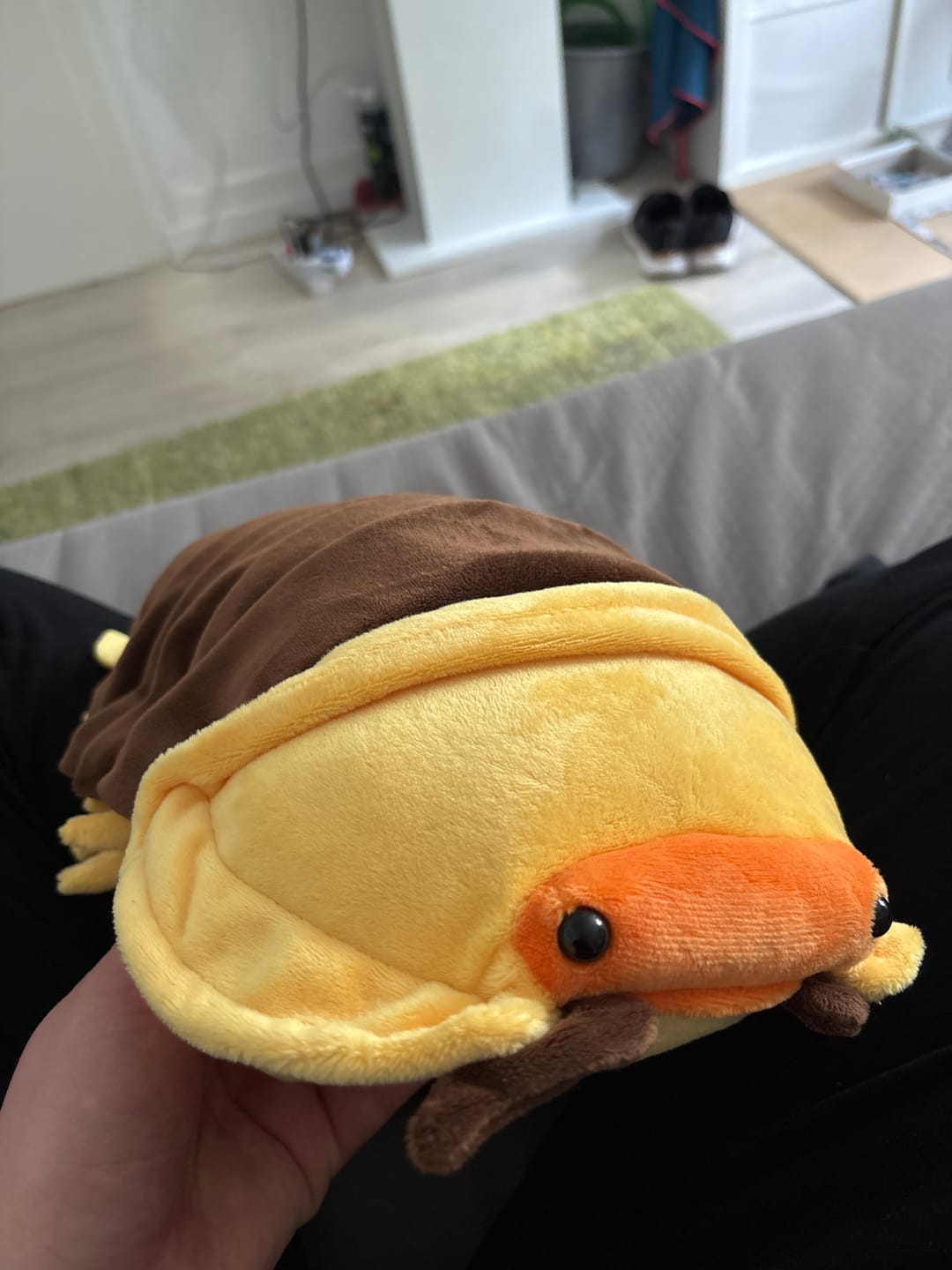 Customer photo review of Roly-poly Bug Soft Stuffed Plush Toy