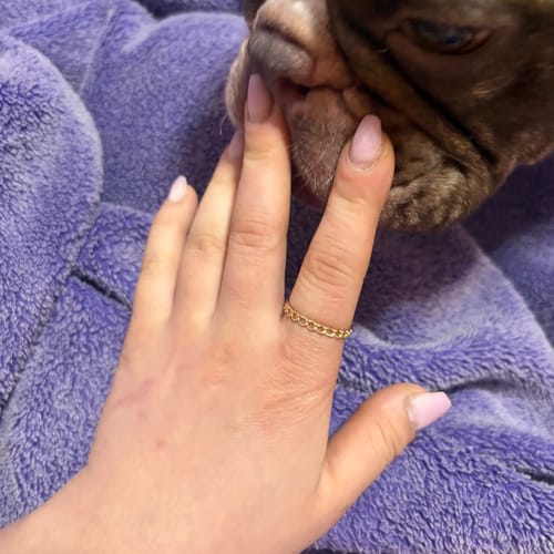 Customer photo review of 10k Chain Ring