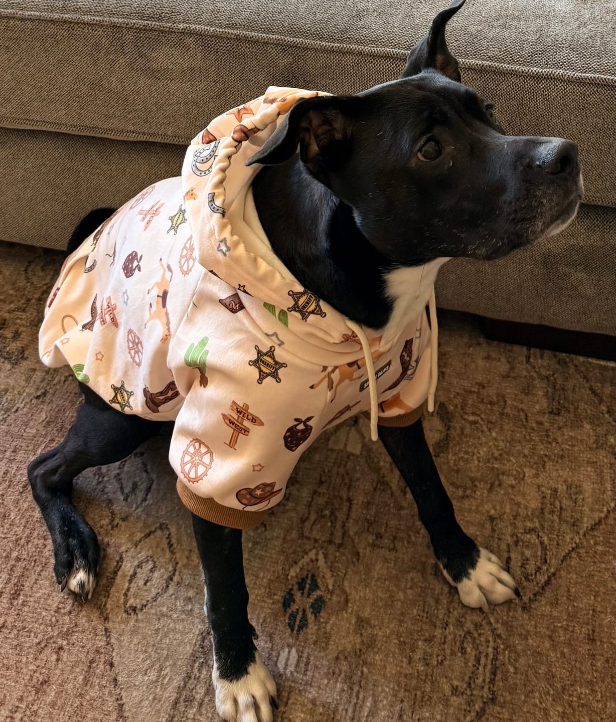 Customer photo review of Dog Hoodie Prints