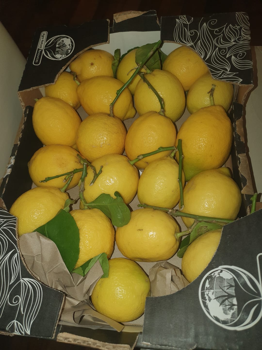 Customer photo review of Ätna Zitronen Bio aus Sizilien 4kg Box Sparpreis %