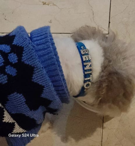 Customer photo review of Collar con Nombre Turquesa