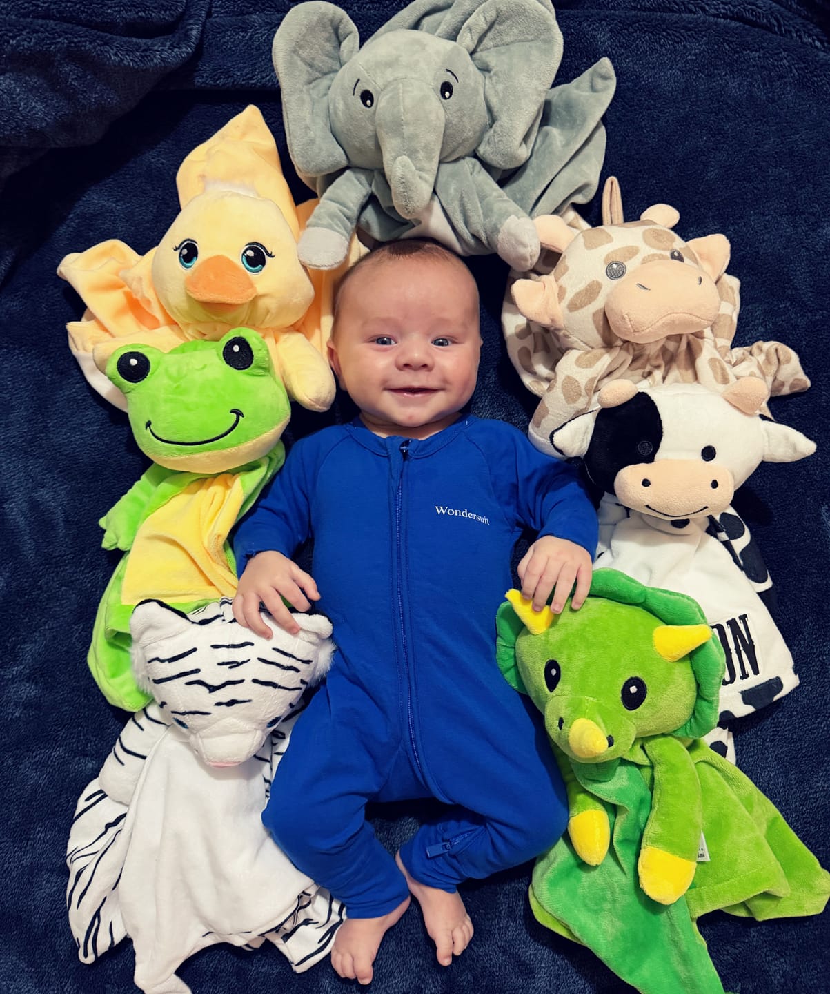 Customer photo review of Dash the Dinosaur