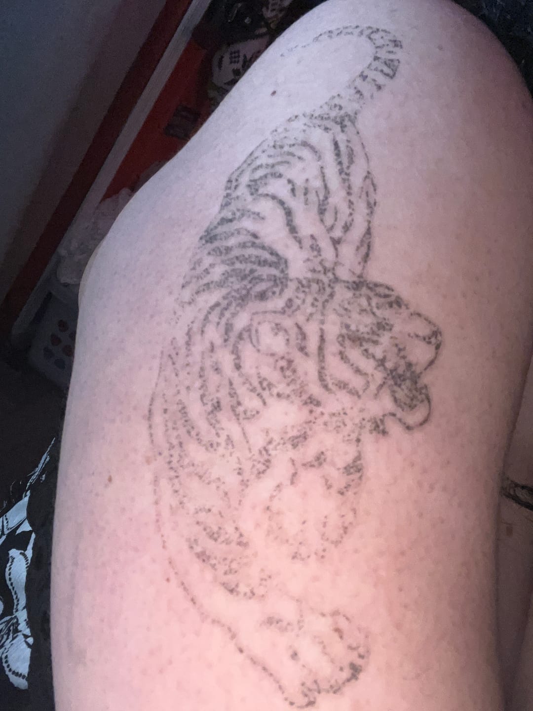 Customer photo review of NEW Prowling Tiger Tattoo