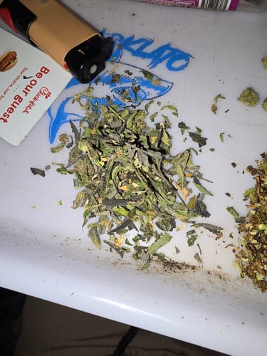 Customer photo review of Exotic THCa Shake