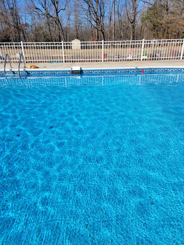 Customer photo review of Skimmer Saver