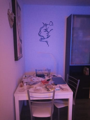 Customer photo review of Décoration Murale Métal - Amoureux des chats