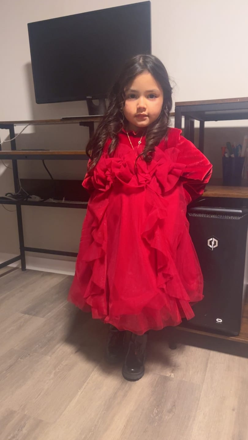 Customer photo review of Dave&Bella Toddler Girls Cute Red Soft Turtle Cozy A-line Mesh Princess Dress